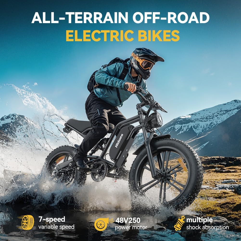 20" Fat Tire Electric Bike for Adults, 48V 15.6Ah Removable Battery, 80KM Range, 7-Speed E-Bike with Dual Suspension