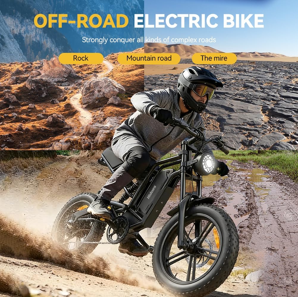 20" Fat Tire Electric Bike for Adults, 48V 15.6Ah Removable Battery, 80KM Range, 7-Speed E-Bike with Dual Suspension
