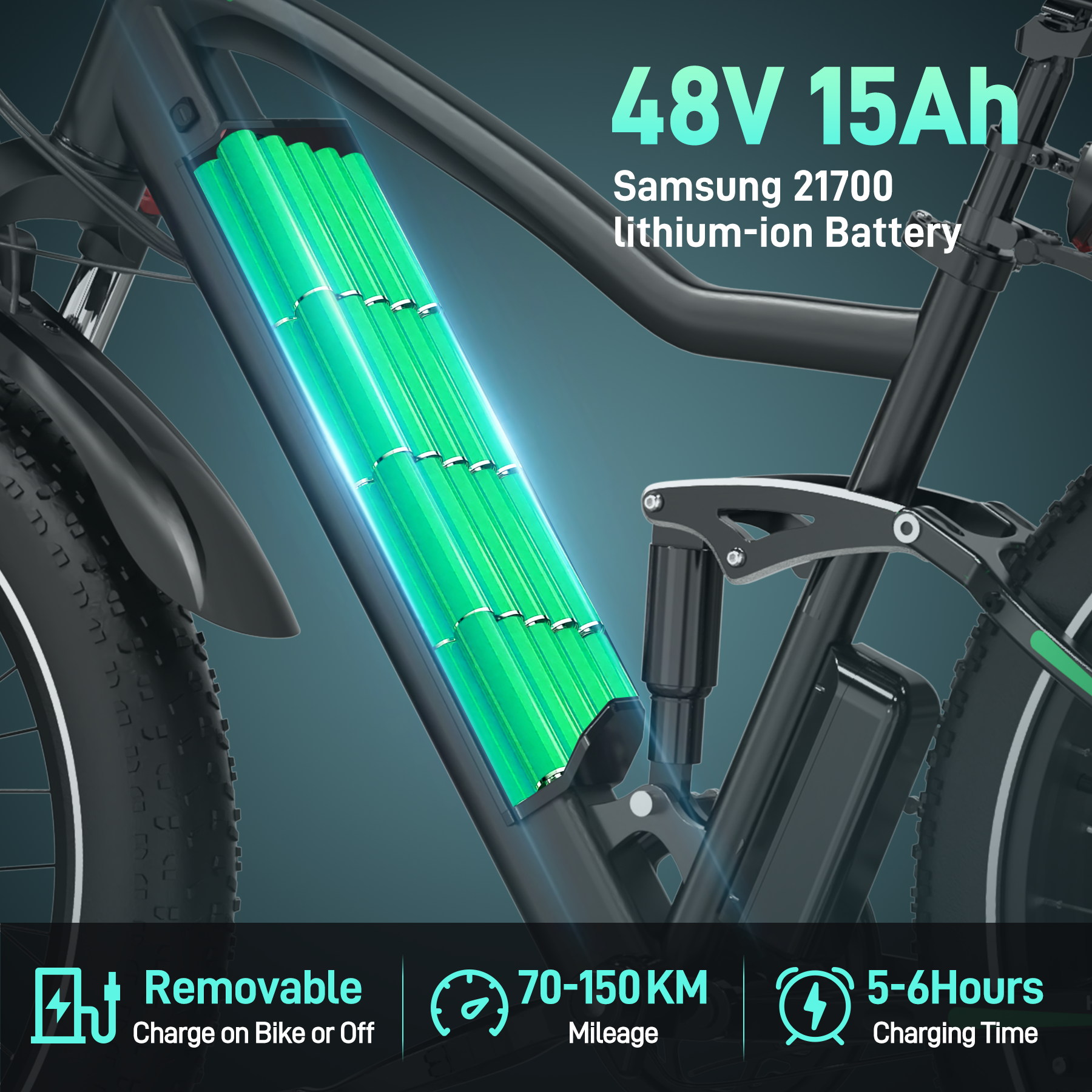 Electric Bike with 250W Motor, 48V Battery, Fat Tires, Dual Suspension, LCD Display