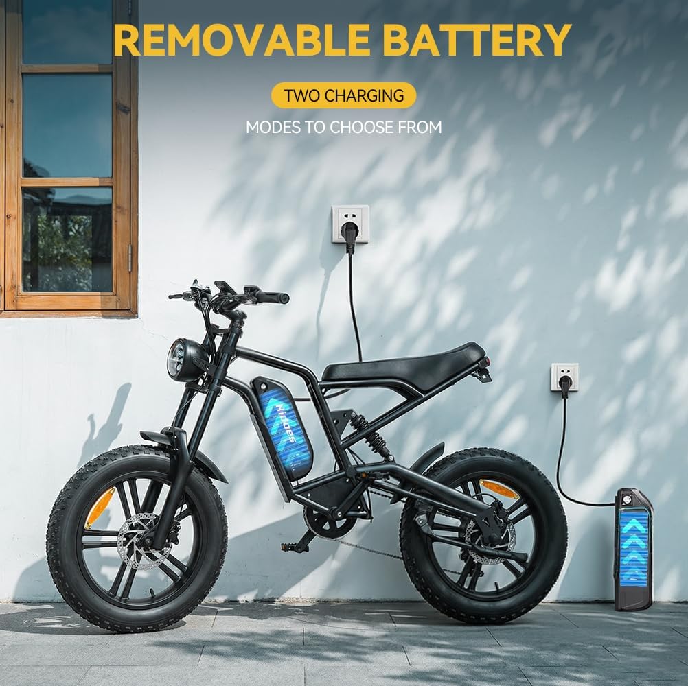 20" Fat Tire Electric Bike for Adults, 48V 15.6Ah Removable Battery, 80KM Range, 7-Speed E-Bike with Dual Suspension